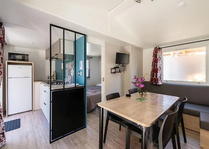 Mobil-home Confortable Avec Terrasse Pour 5 Personnes - Api-1-52-916 Kemping Saint-Rome-de-Tarn